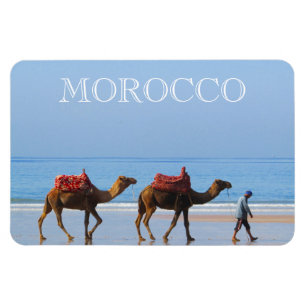 Ímã camelos de praia de marrocos