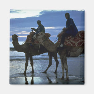 Imã Camelos, Marrocos