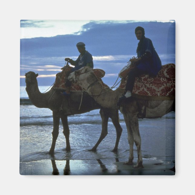 Imã Camels, Marrocos (Frente)