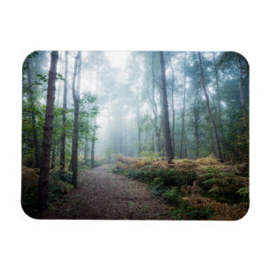 Ímã Caminhada enevoada da floresta