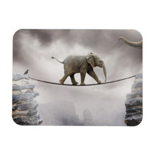 Ímã Caminhadas do elefante do bebê o Tightrope