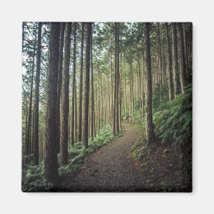 Imã Caminhando nas montanhas   Wakayama, Japão