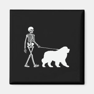Imã Caminhando Por Um Cachorro Da Terra Nova