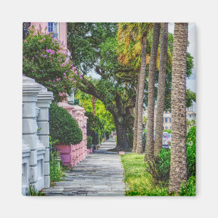 Imã Caminhe ao longo da linha do arco-íris