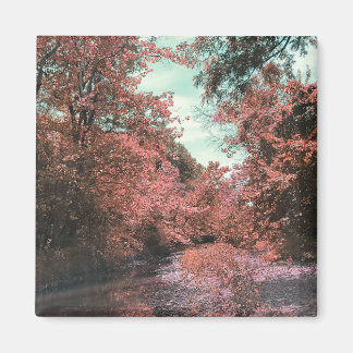 Imã Caminho Cênico de Queda