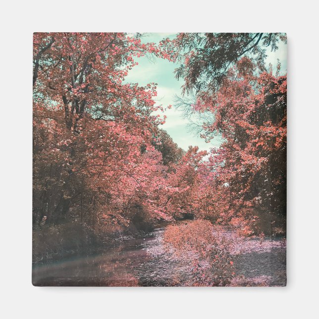 Imã Caminho Cênico de Queda (Frente)