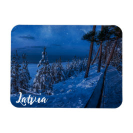 Ímã Caminho da floresta no íman da noite de inverno