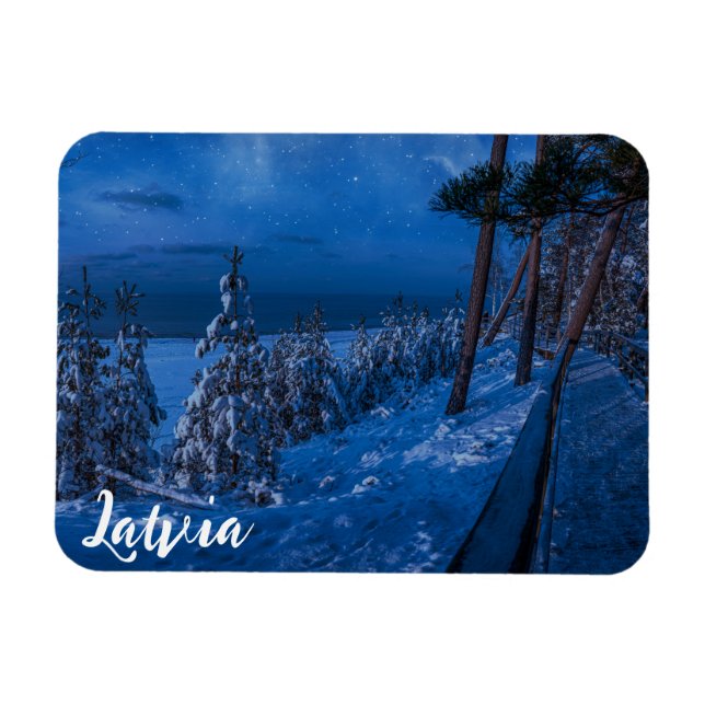 Ímã Caminho da floresta no íman da noite de inverno (Horizontal)