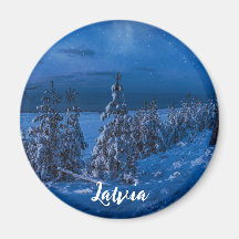 Caminho da floresta no íman da noite de inverno