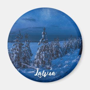 Imã Caminho da floresta no íman da noite de inverno