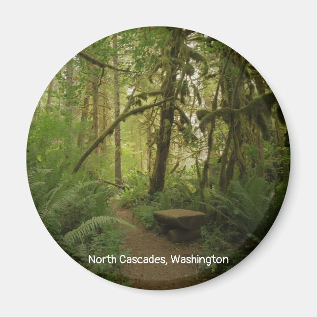 Imã Caminho da Floresta Verde Pacífica em Washington (Frente)