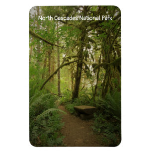 Ímã Caminho das Florestas em North Cascades