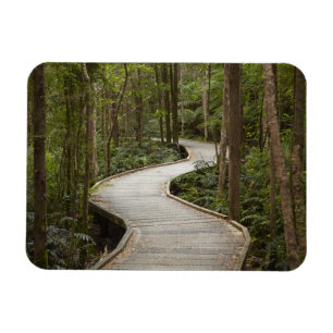Ímã Caminho de barco para Nelson Falls, Franklin - Gor