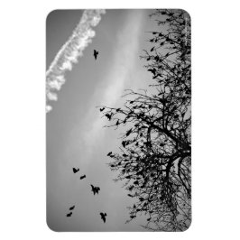 Ímã Caminho de Voo