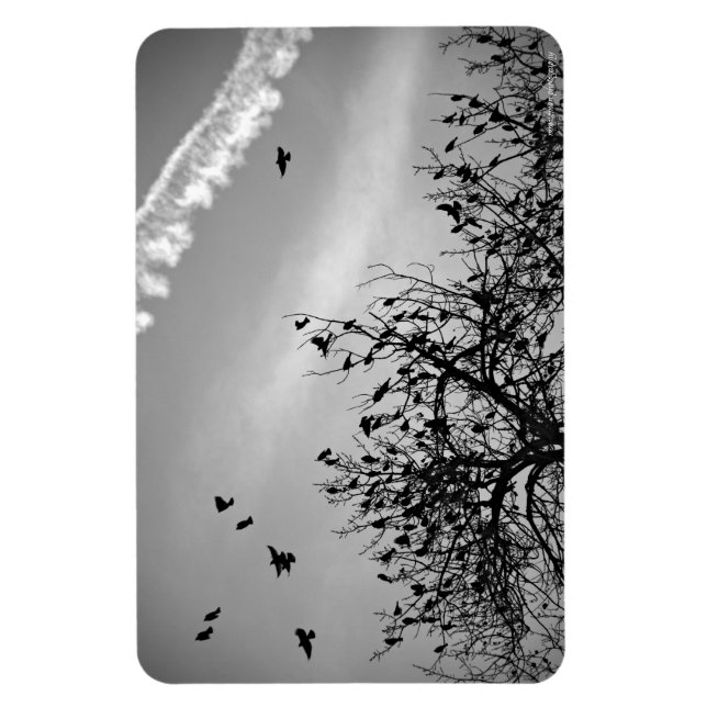 Ímã Caminho de Voo (Vertical)