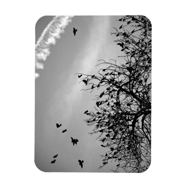 Ímã Caminho de Voo (Vertical)
