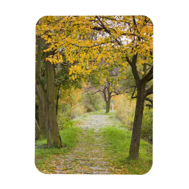Ímã Caminho no Outono (Vertical)