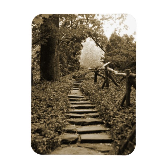 Ímã Caminho para a Luz (Vertical)