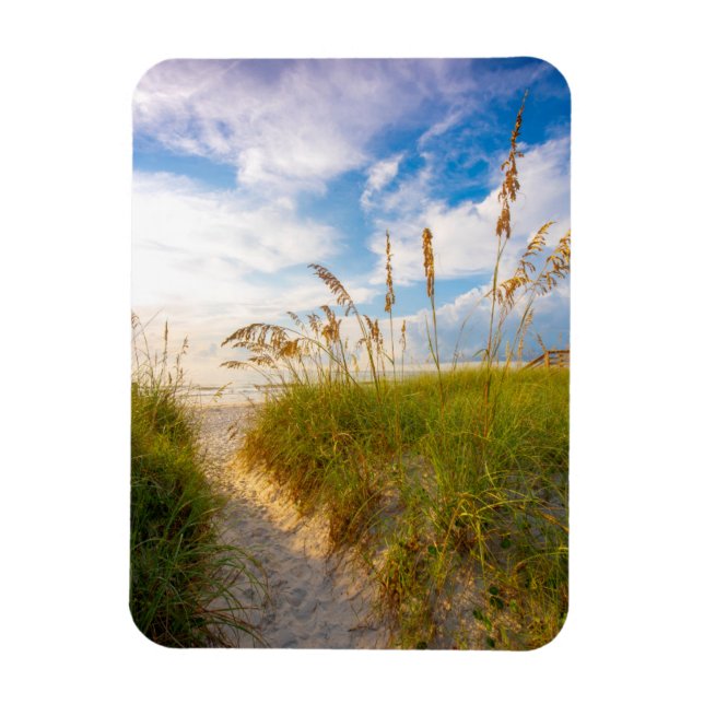 Ímã Caminho para a praia (Vertical)