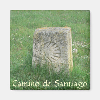 Imã Camino de Santiago