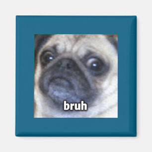Imã Camisa Engraçada Bruh Pug Face de Cachorro Embaçad