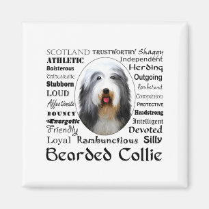 Imã Camiseta Bearded Collie