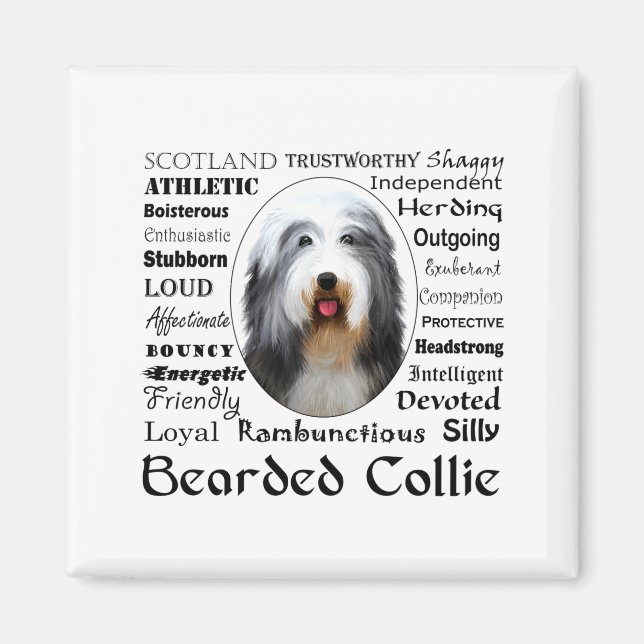 Imã Camiseta Bearded Collie  (Frente)
