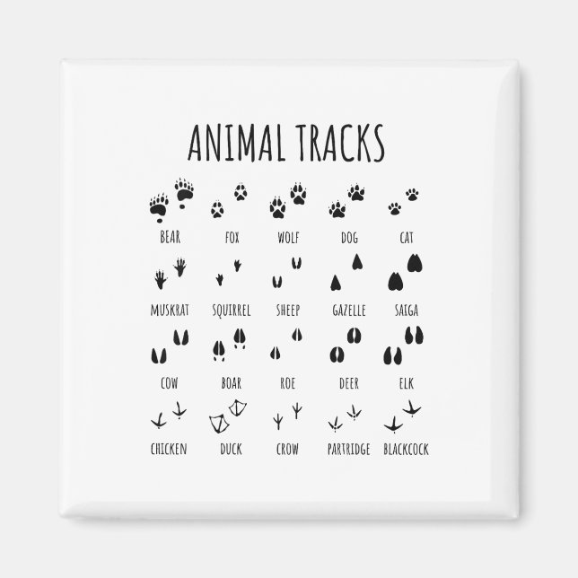 Imã Camiseta de rastros de animais exploradores da nat (Frente)