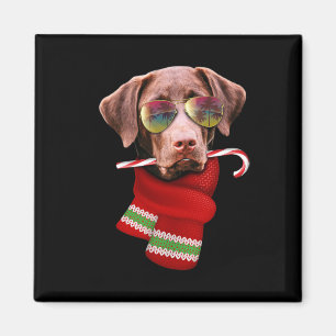 Imã Camiseta Natal Em Julho Labrador Óculos De Sol Ama