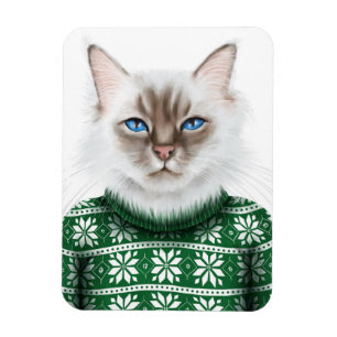 Ímã Camisola do gato do gatinho