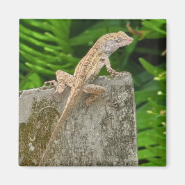 Imã Camouflage Master