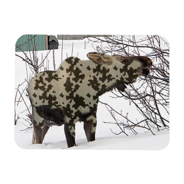 Ímã Camouflage Moose (Horizontal)