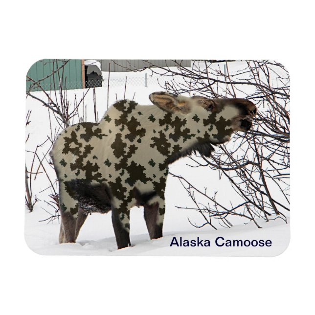Ímã Camouflage Moose (Camoose) (Horizontal)