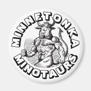Imã Campeões do futebol da fantasia: O Minnetonka