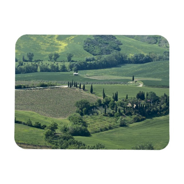 Ímã Campestre perto de Montepulciano, Val d'Orcia, (Horizontal)