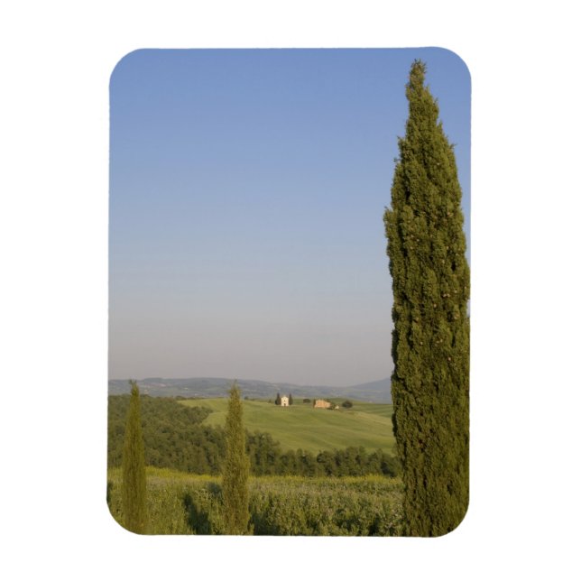 Ímã Campestre perto de Pienza. Val d'Orcia, Siena (Vertical)