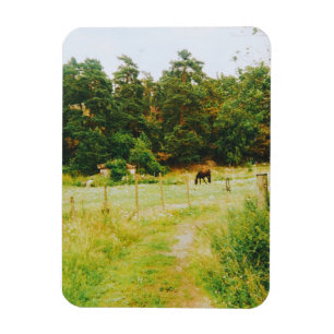 Ímã Campestre Sueco