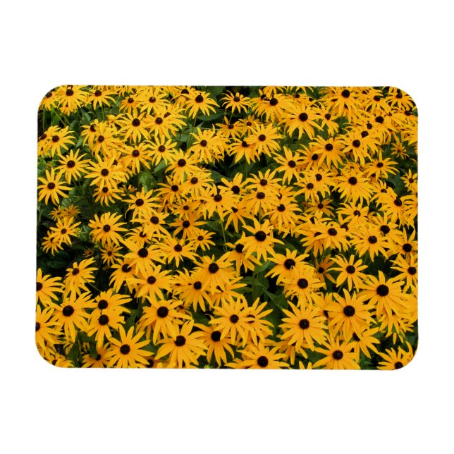 Ímã Campo Amarelo de Visitas - Flor - Magnet (Horizontal)