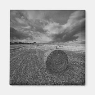 Imã Campo da cevada de B&W