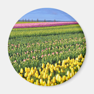Imã Campo das tulipas do primavera