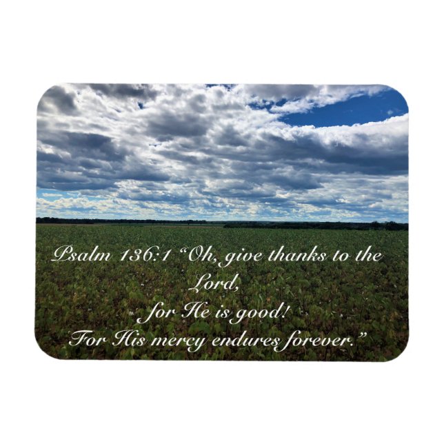 Ímã Campo de algodão "Dê Obrigados" inspiracional (Horizontal)