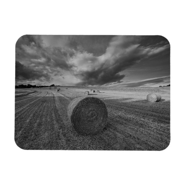 Ímã Campo de &Cevada B&W (Horizontal)