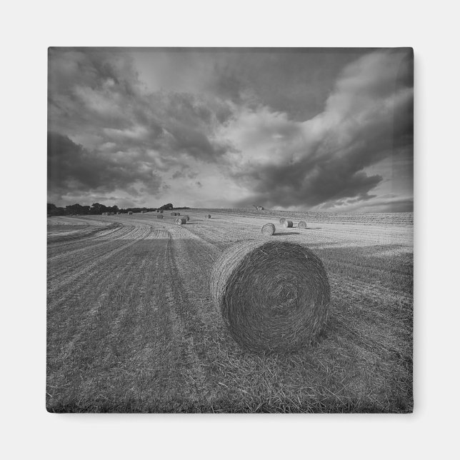 Imã Campo de &Cevada B&W (Frente)
