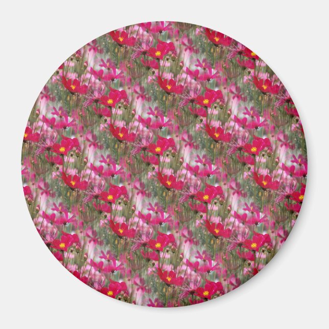 Imã Campo de Cosmos........ (Frente)