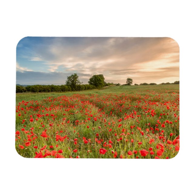 Ímã Campo de papas (Horizontal)