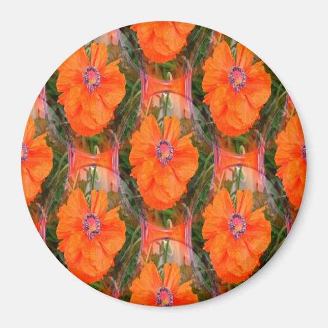 Imã Campo de papoila chinês... (Frente)