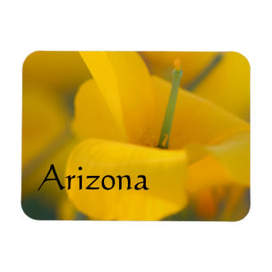 Ímã Campo de papoilas florescentes, Arizona