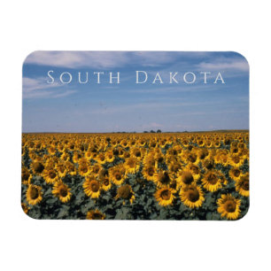 Ímã Campo de Sunflower, Dakota do Sul