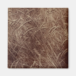 Imã Campo de trigo (por Eugène Atget)