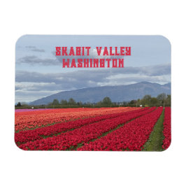 Ímã Campo de Tulipas do Vale de Skagit, Estado de Wash